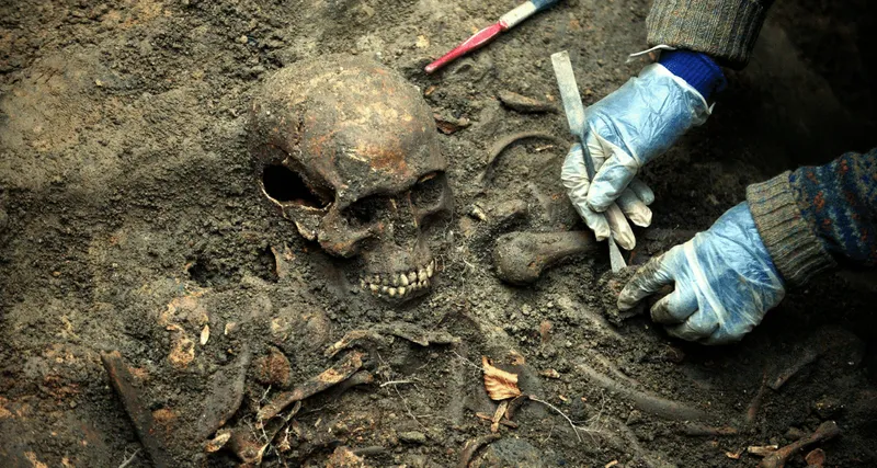 Socio-Cultural Anthropology