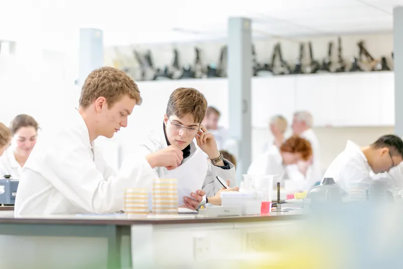 students working in a lab