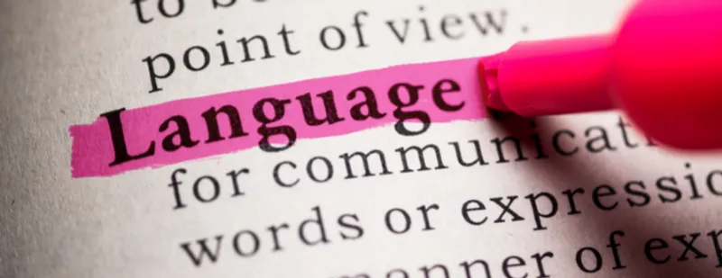 Language written in the dictionary