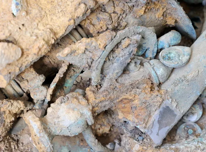 A close-up of various Iron Age copper alloy objects including a linchpin and harness fittings, covered in dirt during the excavation of the Melsonby Hoard