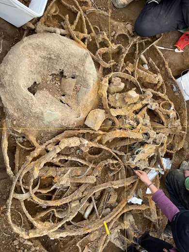 An overhead view of the artefacts from the Melsonby Hoard during excavation, mostly consisting of a tangle of Iron Age metalwork