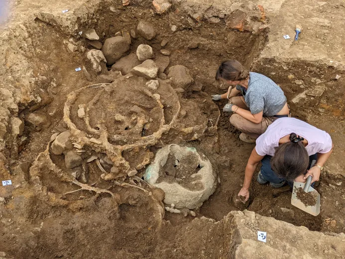 Two people working on the excavation of the Melsonby Hoard, removing stones and soil from a mass of metalwork and other artefacts.