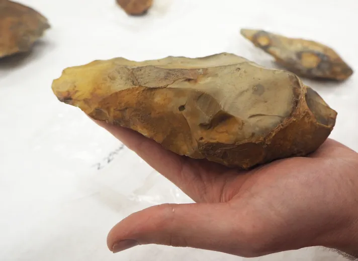 A person holding a handaxe artefact