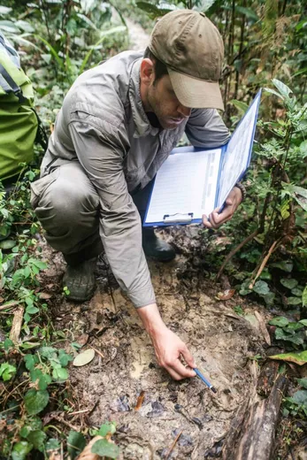 Researcher examining a leopard footprint