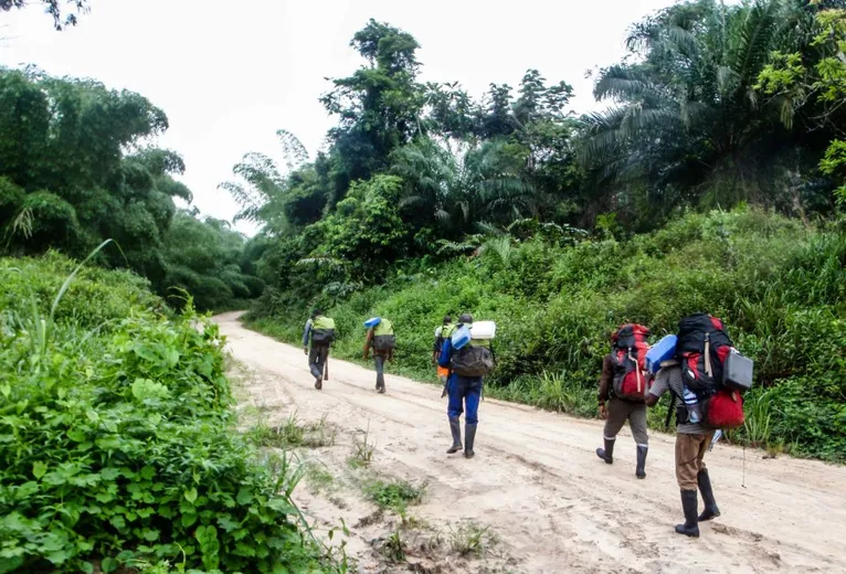 The research team walking to their research site