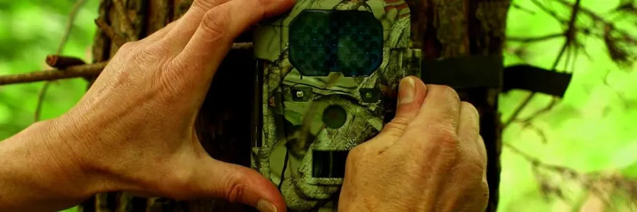 A camera trap is fitted to a tree.