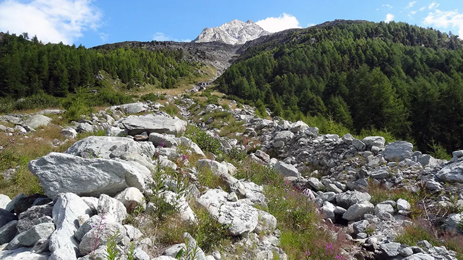 Switzerland Field Trip 2014