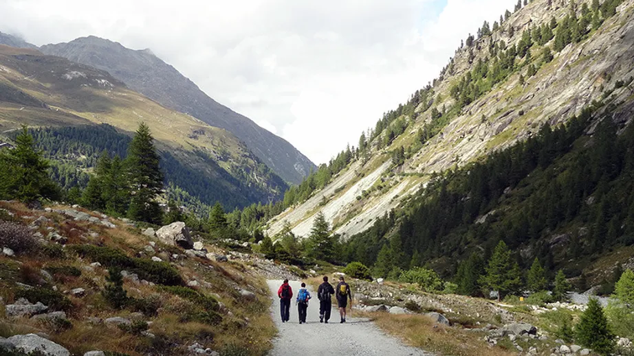 Switzerland Field Trip 2014