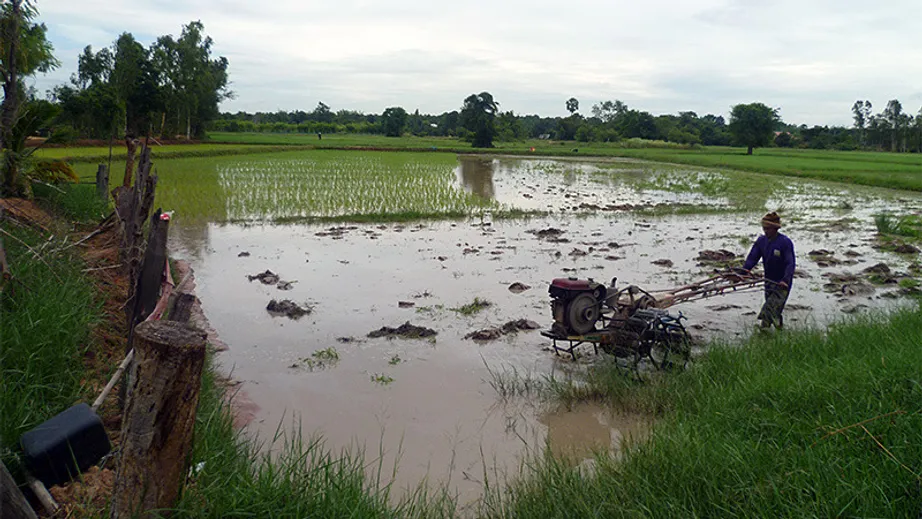 Thailand Field Trip 2011